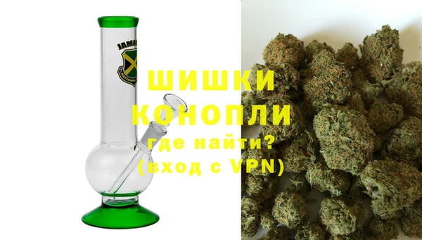 трава Аркадак